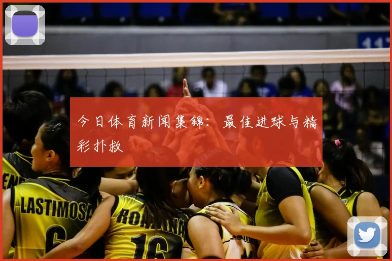 今日体育新闻集锦：最佳进球与精彩扑救