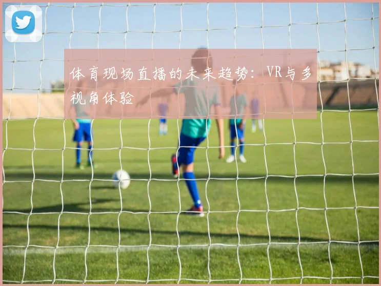 体育现场直播的未来趋势：VR与多视角体验