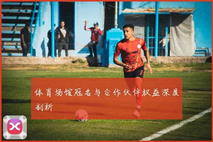 体育场馆冠名与合作伙伴权益深度剖析