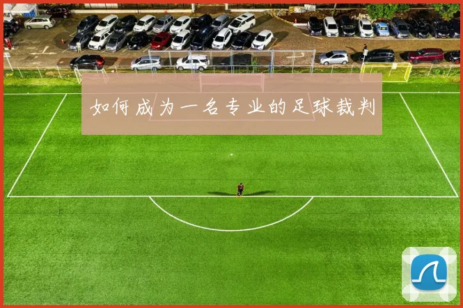 如何成为一名专业的足球裁判
