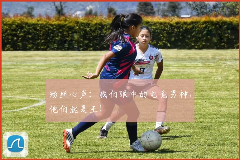 粉丝心声：我们眼中的电竞男神，他们就是王！