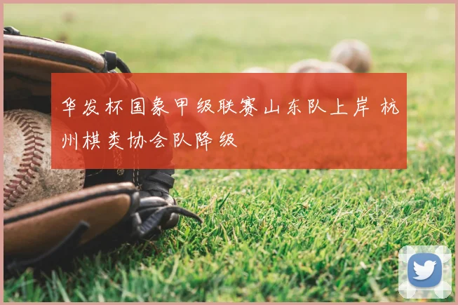 华发杯国象甲级联赛山东队上岸 杭州棋类协会队降级