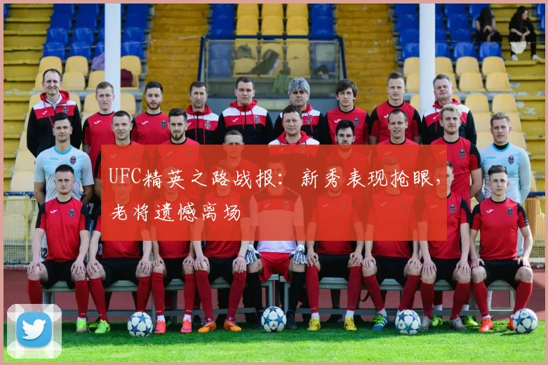 UFC精英之路战报:新秀表现抢眼,老将遗憾离场