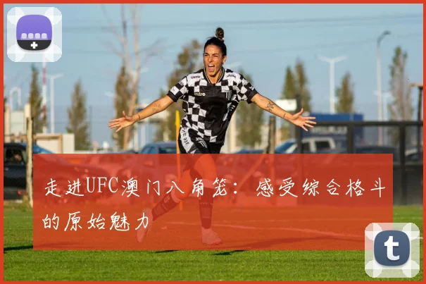 走进UFC澳门八角笼：感受综合格斗的原始魅力