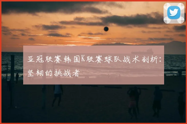 亚冠联赛韩国K联赛球队战术剖析：坚韧的挑战者