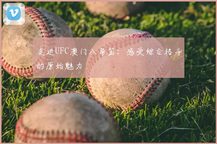 走进UFC澳门八角笼：感受综合格斗的原始魅力