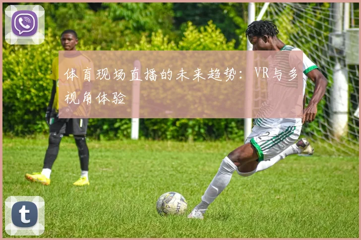 体育现场直播的未来趋势：VR与多视角体验