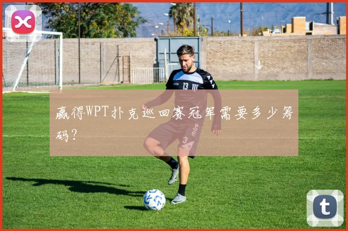 赢得WPT扑克巡回赛冠军需要多少筹码？