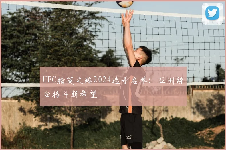 UFC精英之路2024选手名单：亚洲综合格斗新希望